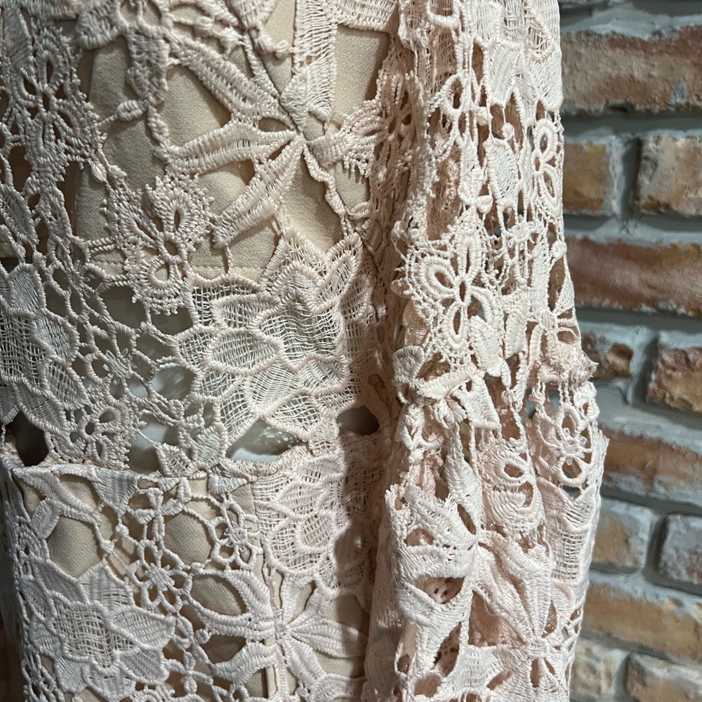 ENDLESS ROSE eyelet dress - Picture 6 of 9